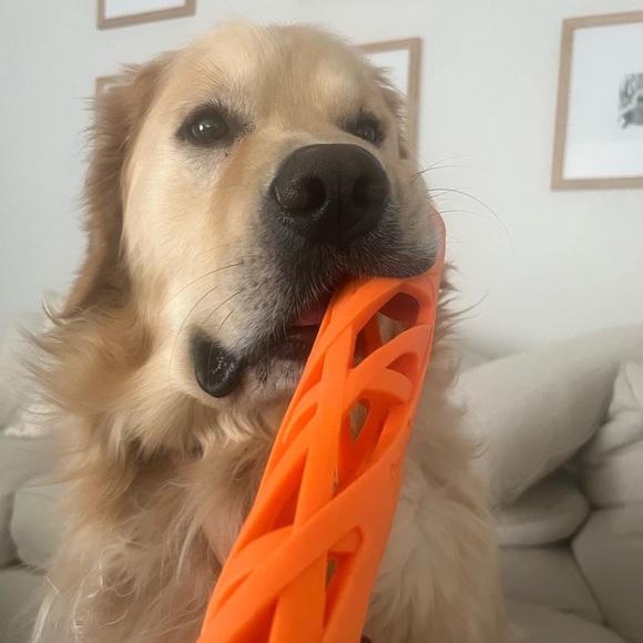 Meet your Posher, Zain - Picture 1 of 1